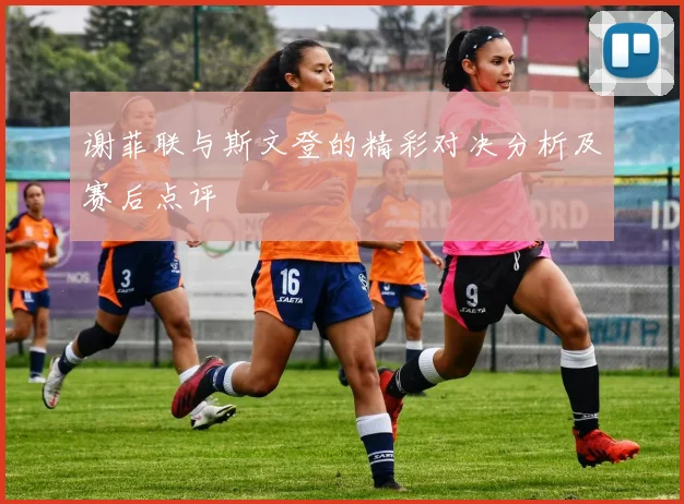 谢菲联与斯文登的精彩对决分析及赛后点评