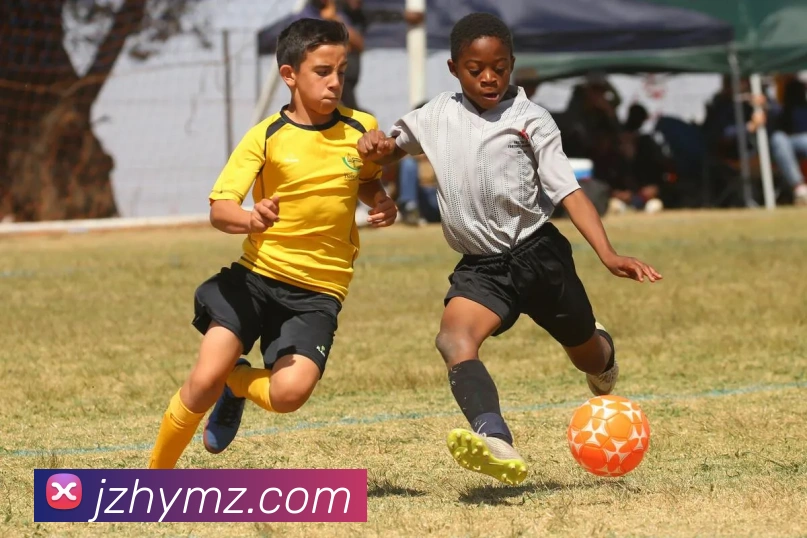 ld乐动品牌故事