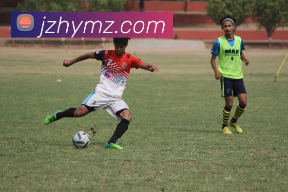 ld乐动服务体系